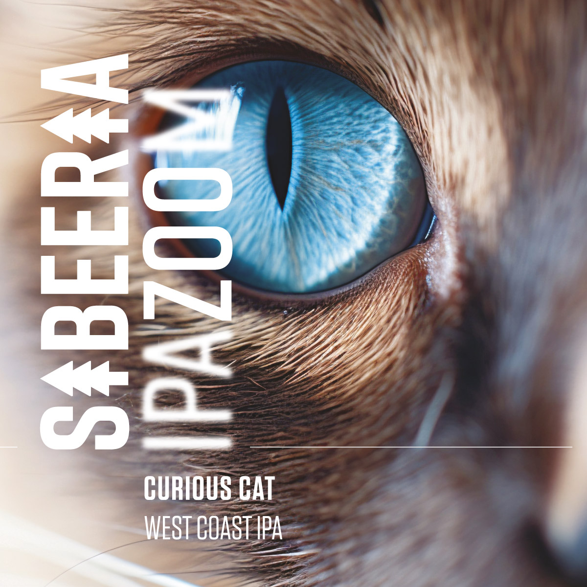 Sibeeria Curious Cat