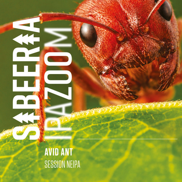 Sibeeria Avid Ant
